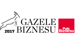 Gazele biznesu