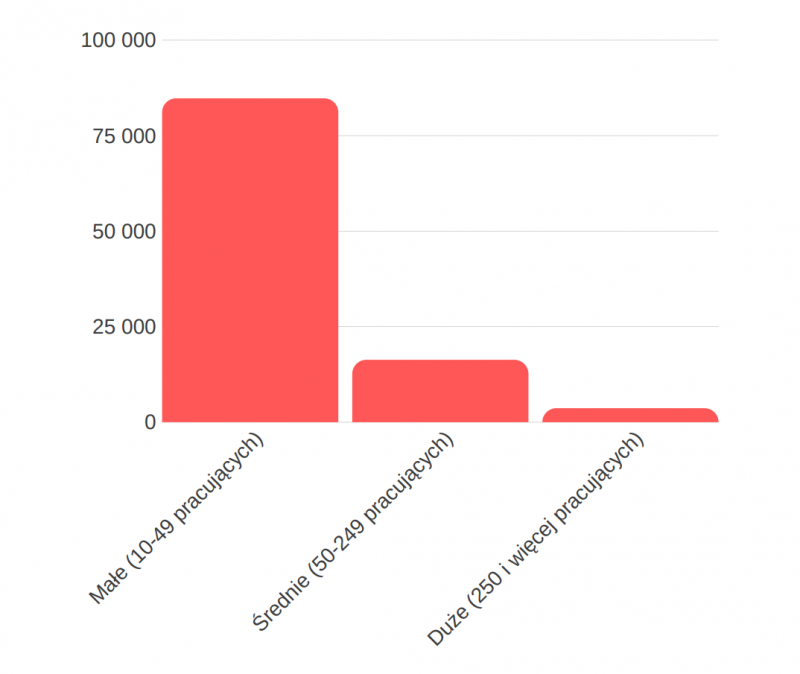 wielkość przedsiębiorstw - internet w firmach w roku 2018