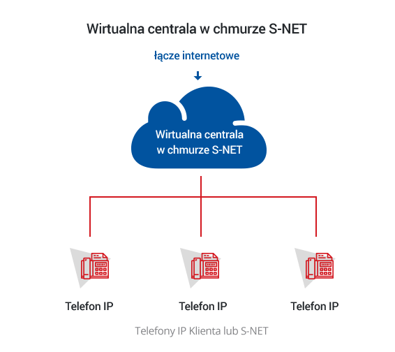 Schemat migracji do chmury S-NET